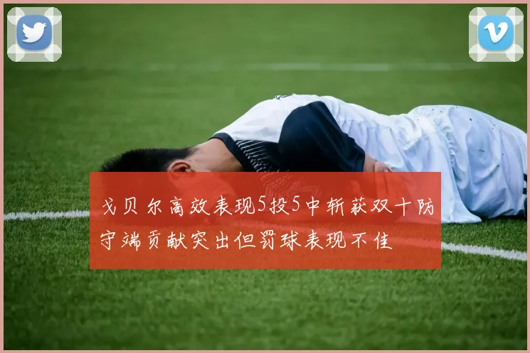 戈贝尔高效表现5投5中斩获双十防守端贡献突出但罚球表现不佳