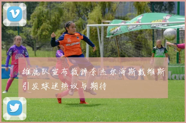 雄鹿队宣布裁掉奈杰尔海斯戴维斯引发球迷热议与期待